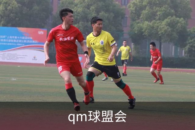 qm球盟会公司介绍图